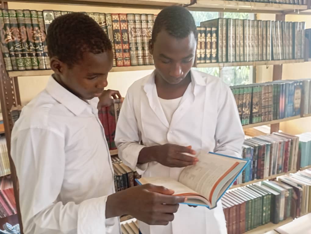 Students studying in the school library